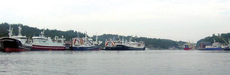 Landligge i Torangsvåg, 11 båtar.