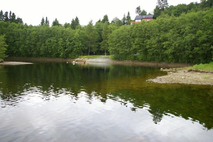 Steindalsbekken kommer inn fra høyre i bildet og renner ut i Nidelva ovenfor Øvre Leirfoss Fig.