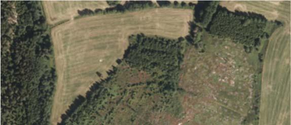 Delområde 1 er på 75 daa og består i hovedsak av avvirket skogsareal, med høy bonitet (Figur 2).