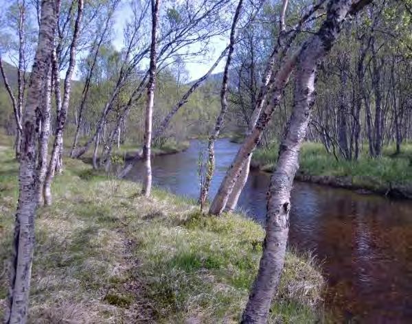 Fiskeplassen Gangvei