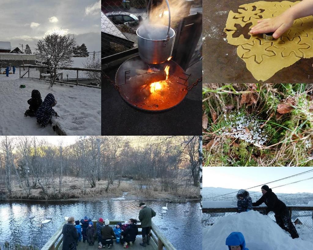 Vinter - Desember, januar, og februar. Snøstjerne, kvitstjerne, kvar kjem de i frå? Sei, bur de der oppe i skyene grå?