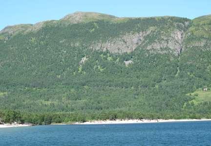 04 Hammerhøa vest (ved Tyrikvamsfjell) (Oppdal) er et større område med skogsbeite nord