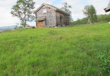 20 Reitsætra i Jøldalen (Rennebu).