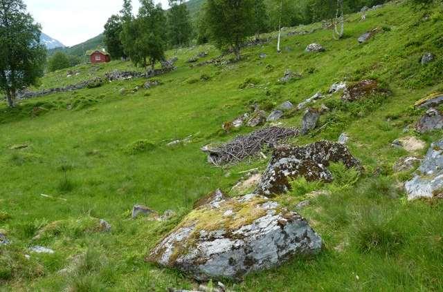 en mosaikk av naturtypene naturbeitemark og beiteskog.