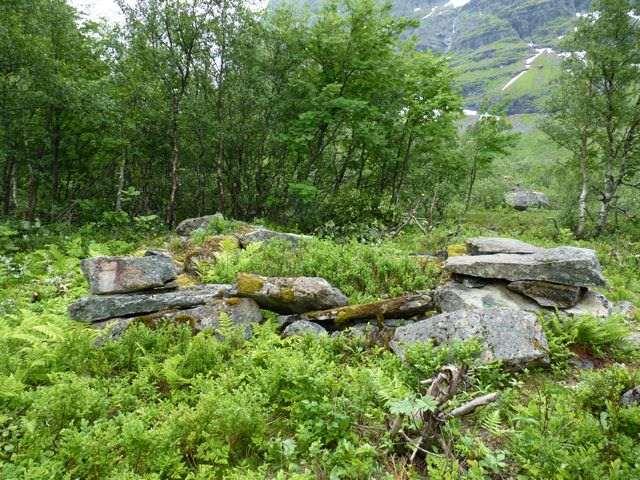 Mosetra i Innerdalen (Sunndal) er et seterområde som var så gjengrodd at