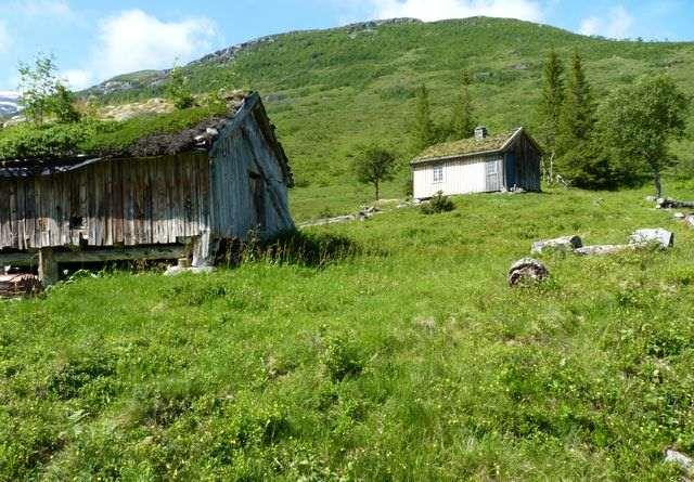 opphør av beiting og går ut som naturtype. Foto: UH.