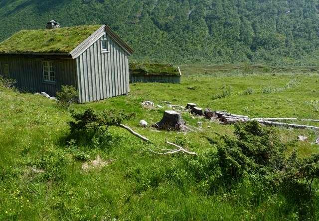 Lokaliteten ble registrert som naturbeitemark. Foto: UH.