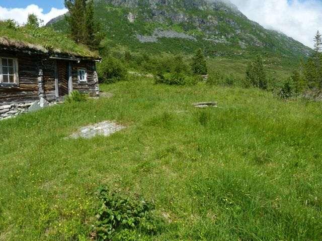 31 I forgrunnen ses en del av lokaliteten Øyasetra (Surnadal), naturbeitemark.