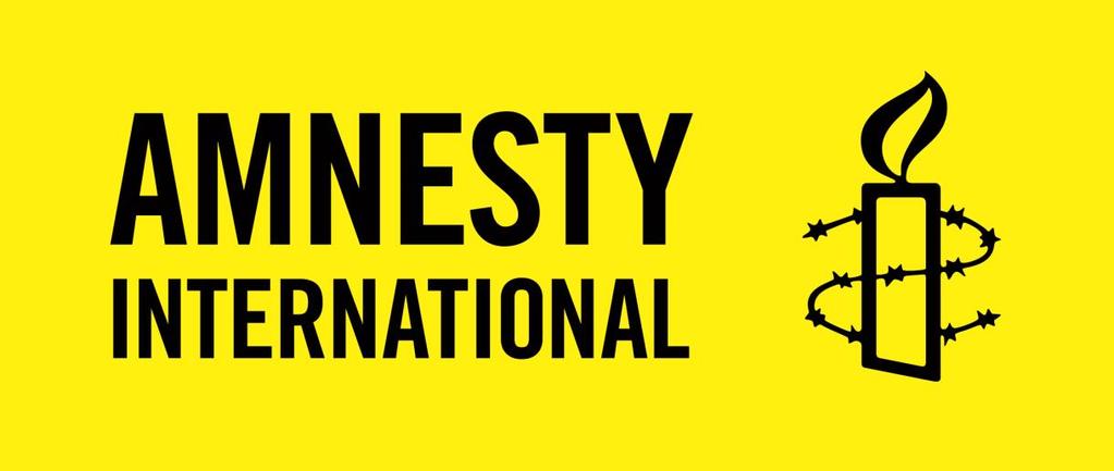 2017 Innstilling til styret om Amnesty i Norges medlemsdemokrati Styringsgruppen: Thea Schjødt Gro