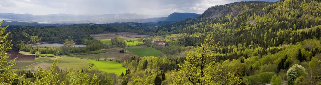 Utfordringer i kunnskapsinnhenting Naturen er vanskelig å kategorisere Basiskunnskap er tidkrevende og kostbart Ulike