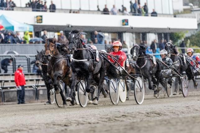 Travgalla 2018 Helaften der vi hedrer de sportslige høydepunktene Telemark har stått for i 2017!