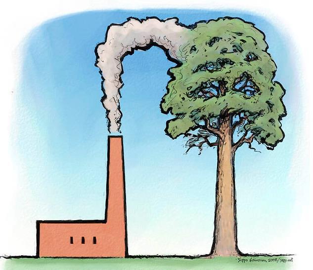 Betydelig klimapotensiale i skog Økt langsiktig opptak av CO 2 i skog ved planting og tiltak som øker skogens produksjonsevne: 6,6-12,3 mill.