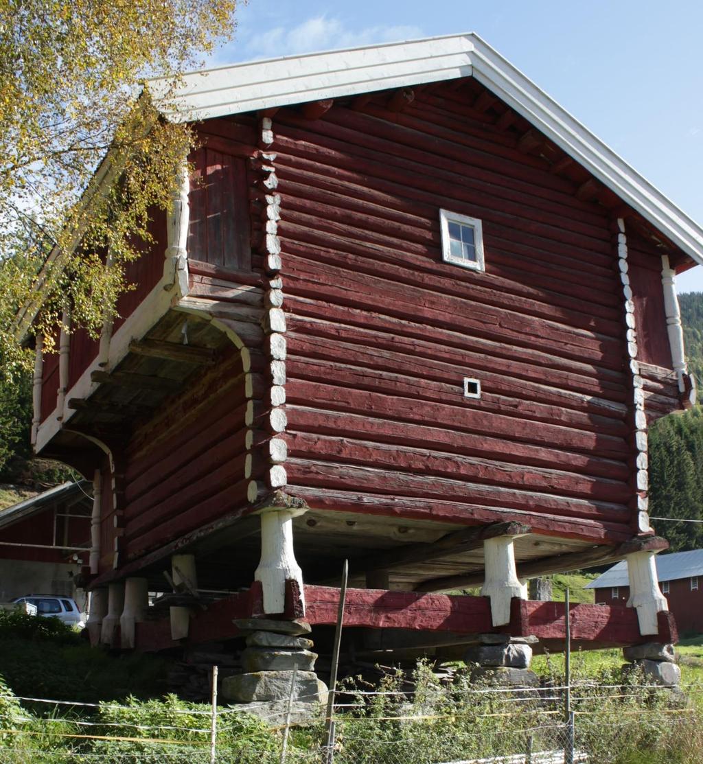 Figur 5. Skjønne, Søre. Loftet sett fra nordvest. Foto. J. Brænne.