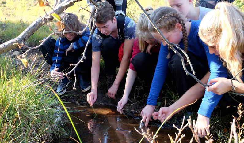 TVERRFAGLIGHET OG FORDYPNING Barneskolen og ungdomsskolen holder til i samme bygning. Elevene ved ungdomsskolen har faste klasserom i en egen etasje adskilt fra de yngre elevene.