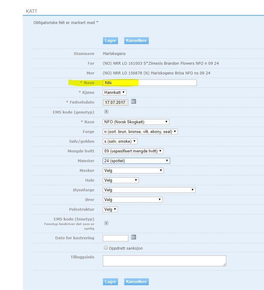 Her fyller du inn kattungens navn (VIKTIG - ikke skriv inn stamnavnet her, det føres inn av systemet!), velg kjønn, rase og EMS-kode. EMS-koden er delt opp i sine enkelte deler.