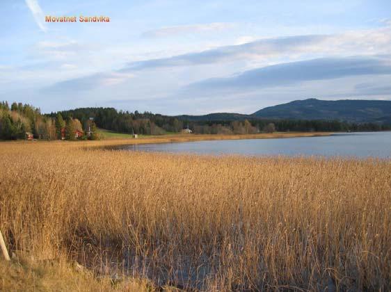 Nordøstre del av Movatnet.