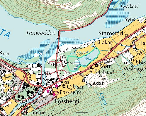 4.7 Årsjo 12/9-02 4.7.1 Feltobservasjoner - vannkjemi og bakteriologi Stasjonens plassering er gitt i Figur 4.8. Innsjøen Årsjo er omgitt av landbruksareal på 3 sider.