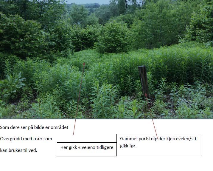 Planstatus Eigedomen ligg i uregulert område innafor det som i Kommuneplan for Radøy kommune 2011-23 er definert som område for landbruk, natur og friluftsområde