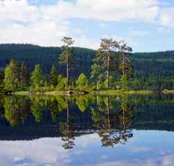 Med utsikt mot Oslofjorden og Hovedøya er det blitt et