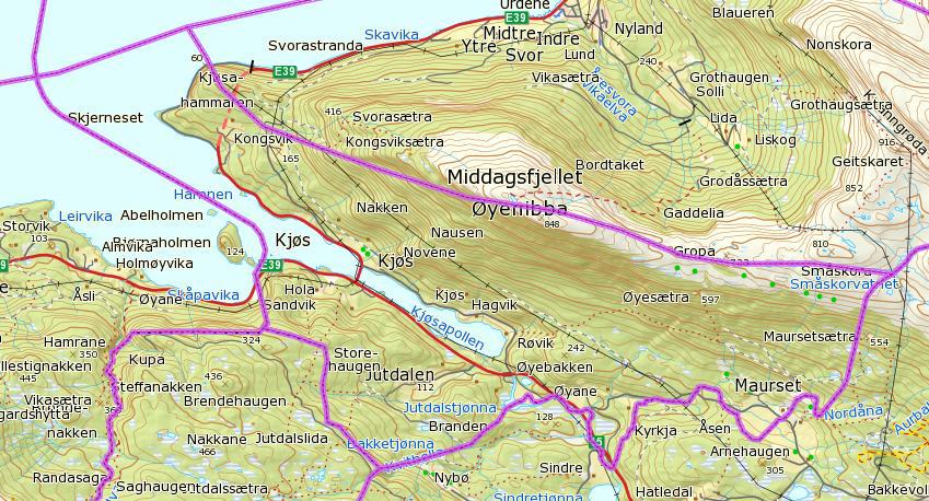 2/13 Stryn kommune ønskjer ei justering av grensa slik at Kjøs krins blir flytta til Stryn.