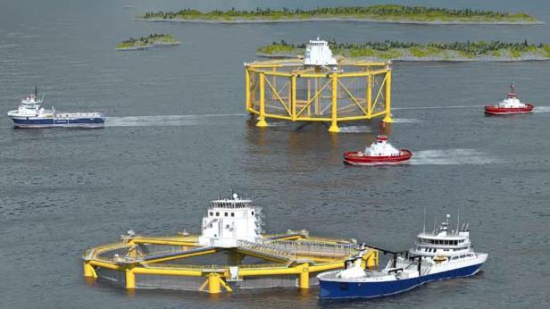 Ocean Farming Tilgang på nye arealer både på land og til havs vi må