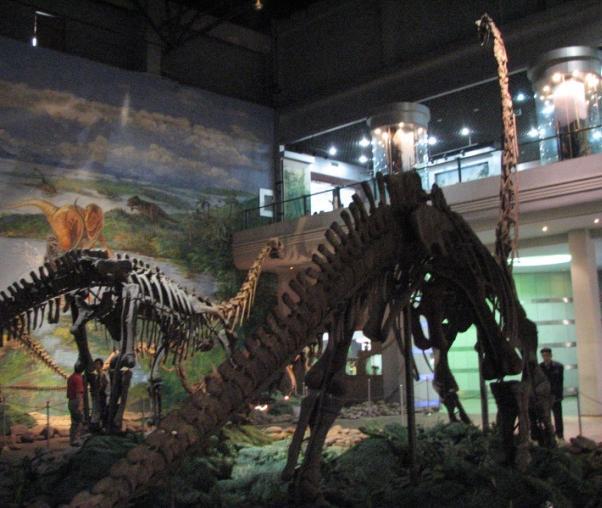 D3 Etter tidlig frokost reiser vi videre med buss til byen Zigong, mekka for kinesiske dinosaurelskere. Bussturen tar ca.