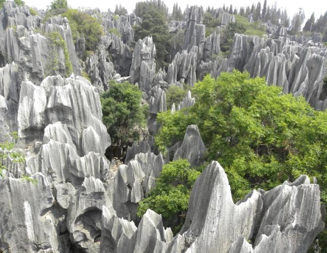 Etter frokost på hotellet tar vi i dag en utflukt til Chengjiang National Geopark og besøker bl.a. Chengjiang Biota Museum og Chengjiang Biota Forskningsstasjon.