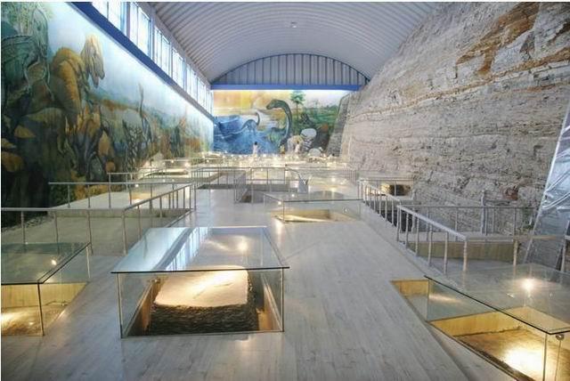 I tillegg til fuglefossiler er Beipiao også svært rik på fossiler av andre dyrearter og plantearter. Vi besøker Sihetun Geology Museum hvor fossiler er utstilt der de ble oppdaget.