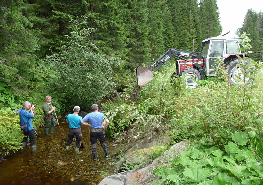 Sjøørretmidler Gjennom den årlige «Villaks-auksjonen» får Organisasjonen Redd Villaksen hvert år inn flere hundre tusen kroner som uavkortet skal gå til å bedre forholdene for laks og sjøørret i