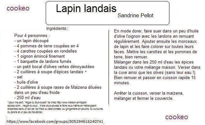 Lapin landais Lapin