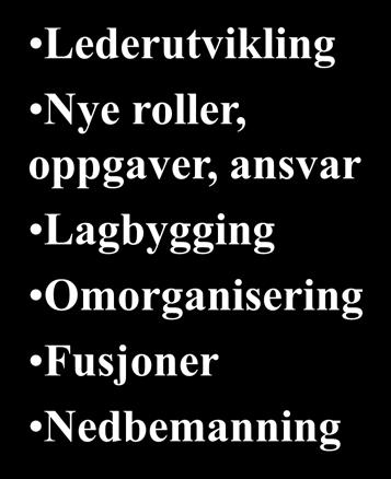 Nye roller, oppgaver, ansvar Lagbygging