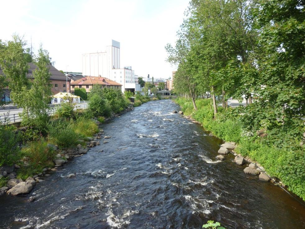 Flomsoneberegning Hunnselva Strekning mellom Alfarvegen og Mjøsa Oppdragsnr.