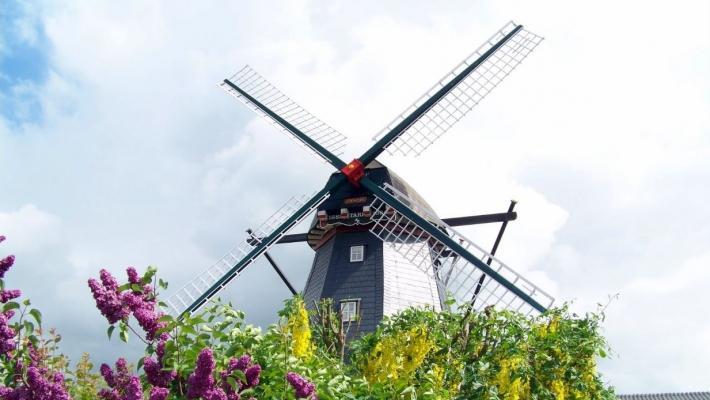 Friedrichstadt (40.9 km) Friedrichstadt kan minne om en typisk hollandsk kanalby.