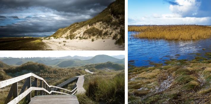 Amrum (47 km) Amrum er en av de minste øyene i Vadehavet, men er også en av de flotteste. Her finner dere store skogsområder, pene daler og idylliske innsjøer.