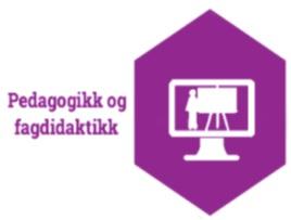 Pedagogikk og fagdidaktikk: En profesjonsfaglig digitalt kompetent lærer har pedagogisk og fagdidaktisk kunnskap relevant for profesjonsutøvelsen i digitale omgivelser.