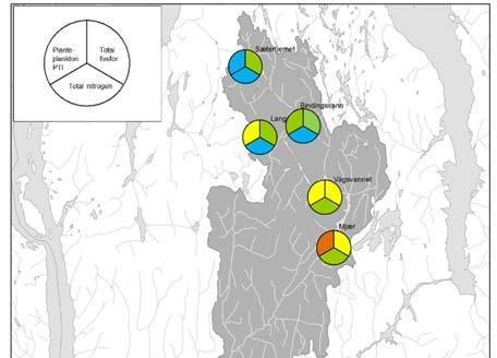 Det har blitt observert en vesentlig tilbakegang av algen Microcystis i Vanemfjorden og Nesparken etter 2006, noe som er bra for badevannskvaliteten Mye nedbør og høy vannføring medførte dette året