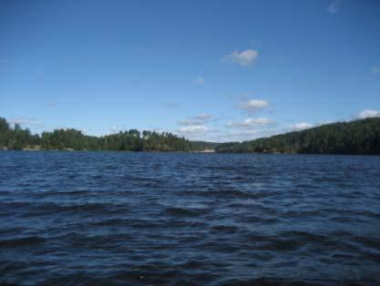 3 INNSJØER OPPSTRØMS VANSJØ Innsjøene Sætertjernet, Bindingsvannet, Langen og Våg har ikke blitt undersøkt i Morsa-regi i 2014 og 2015.