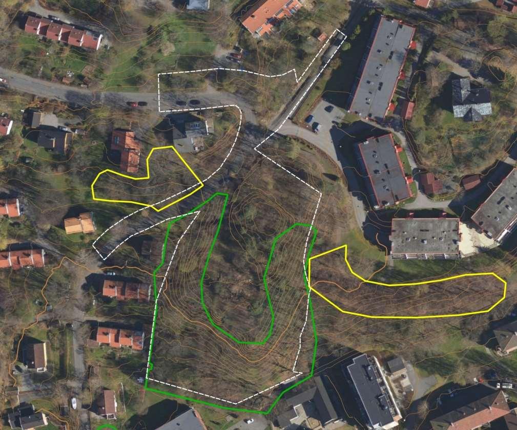 ssp. montanum. Ellers er rødlisteartene alm og ask (begge sårbare VU) og noen svartelistearter registrert innenfor området (Artskart 2017).