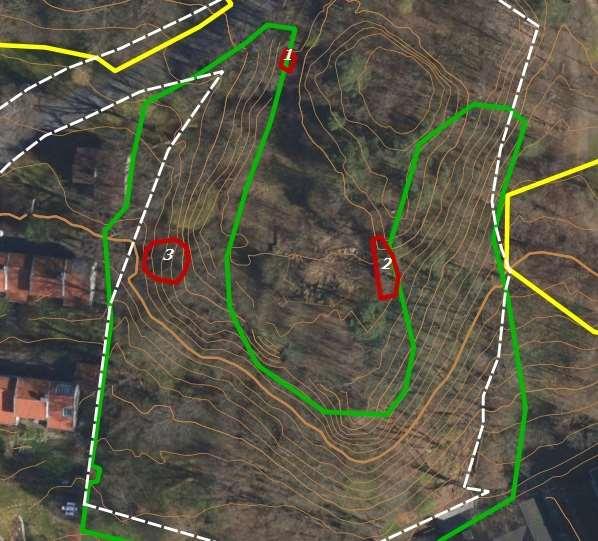 Av andre interessante arter forekommer det mye skogbingel innenfor naturtypelokaliteten (figur 8), samt at det ble observert tre forekomster av eikeildkjuke på gamle eiketrær (figur 7).