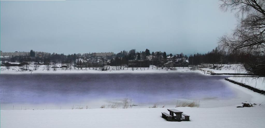 STRANDVIN 1 AS Strandveien i Skedsmo kommune PROSJKTNUMMR 256261 MILJØPROGRAM OG