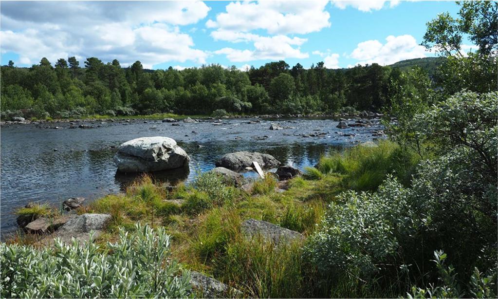 Usteåne innløp til