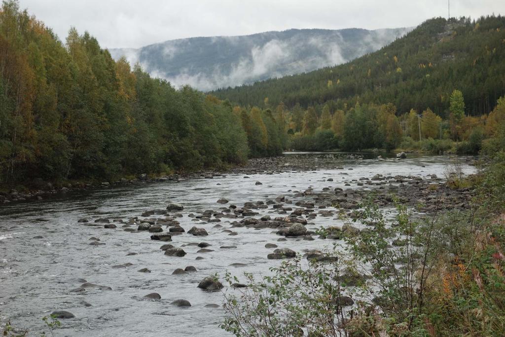 Hallingdalselva Ved Hagaplassen, ca.