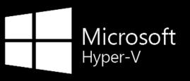 Windows Server 2008/2012, men separat produkt fra 2016 Parent Partition» VM nr.