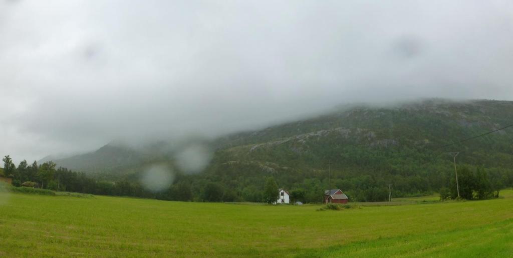 2 Figur 2: Oversikt over påhuggsområdet sett mot nord øst.