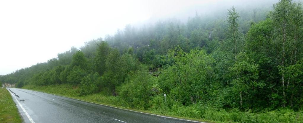 Det nederste bildet viser oversikt over påhuggsområdet mot øst. Ca.