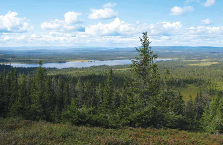 Frå Brumundkampen mot Brumundsjøen.