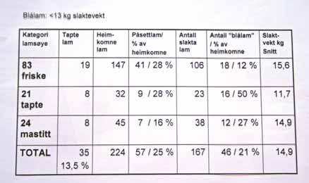 BER OM KOPI: Siden skjemaene er utstyrt med Mattilsynets logo, håper Ivar Sveinung Hanem at bønder som i framtiden benytter seg av dem, også sender en kopi til sitt lokale Mattilsyn, slik at