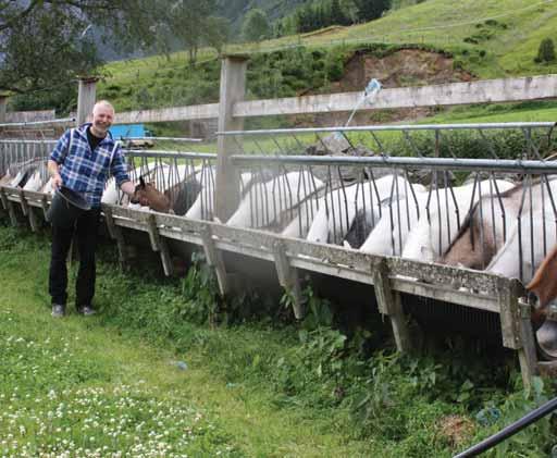 - Vi har no så mange geiter med lågt syretal at samlemjølka er svært stabil.