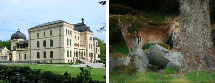 Dere kan eventuelt kombinere en visitt på galleriet med en langhelg på reise i bil på veien til hotellet. Galleriet er en del av Bølgen Kulturhus nede ved havna i Larvik. Fritzøehus Park (6.