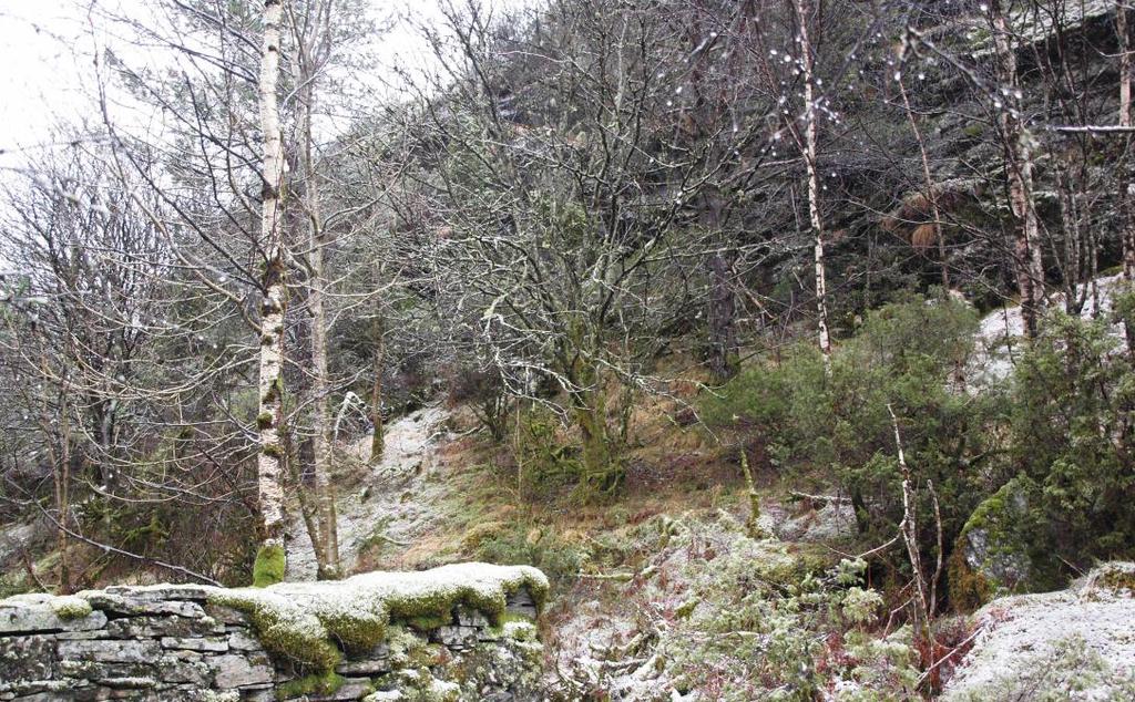 Området for skredvoll er basert på dagens overflater. Ved masseutskifning og endring av høyden på flatene kan også lokaliseringen av skredvollen endres.